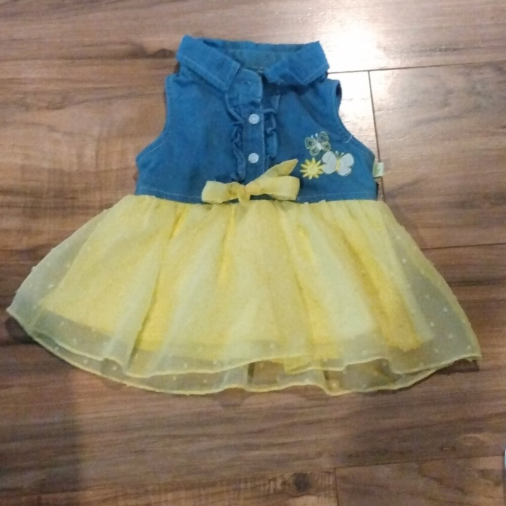 Duck Duck Goose 12 months Dress